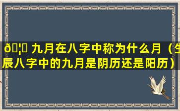 🦈 九月在八字中称为什么月（生辰八字中的九月是阴历还是阳历）